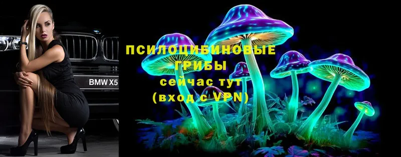 Псилоцибиновые грибы Psilocybe  наркота  Киреевск 